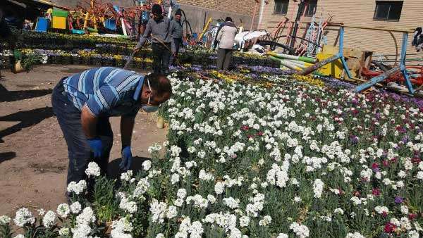 egdamate norooz 99 3