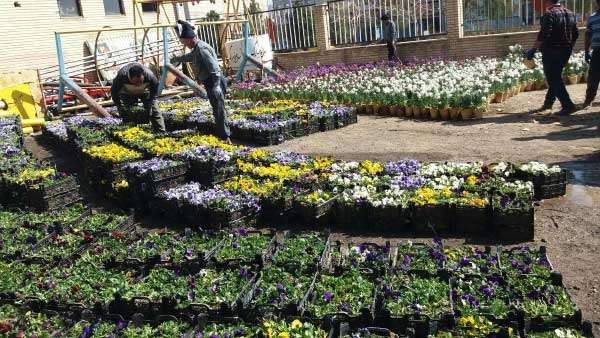 egdamate norooz 99 3