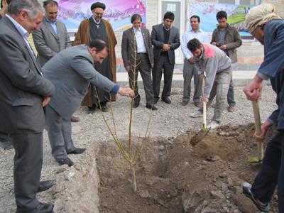 توزیع ۶۰۰۰ اصل نهال غیرمثمر به مناسبت هفته منابع طبیعی و آبخیزداری