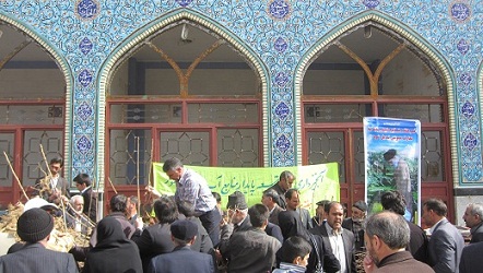  ۱۲۰۰ اصله نهال در بین مردم پس از اقامه نماز جمعه در مسجد جامع توزیع شد