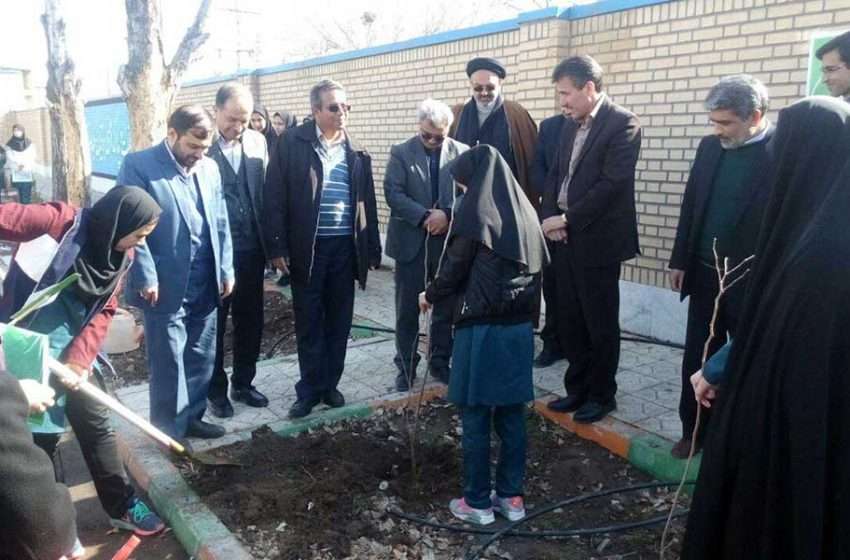  ۳ هزار اصله نهال غیر مثمر در میانه  توزیع می شود