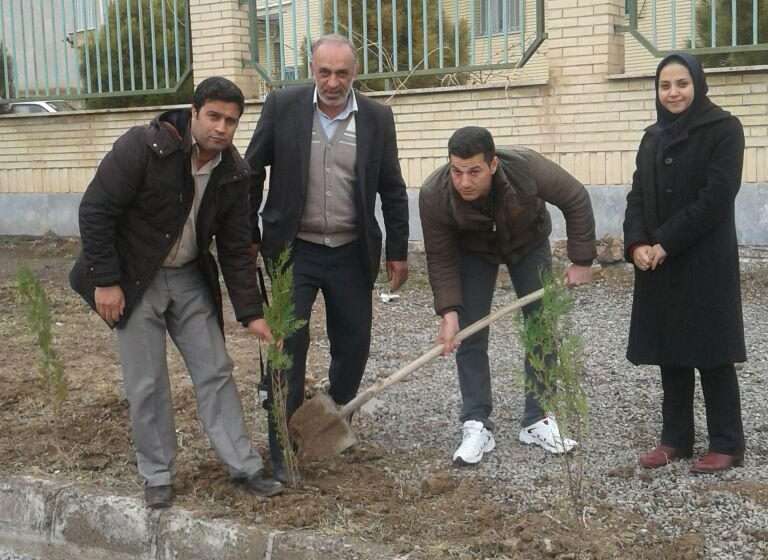  کاشت نهال های سرو توسط پرسنل اداره حفاظت محیط زیست میانه