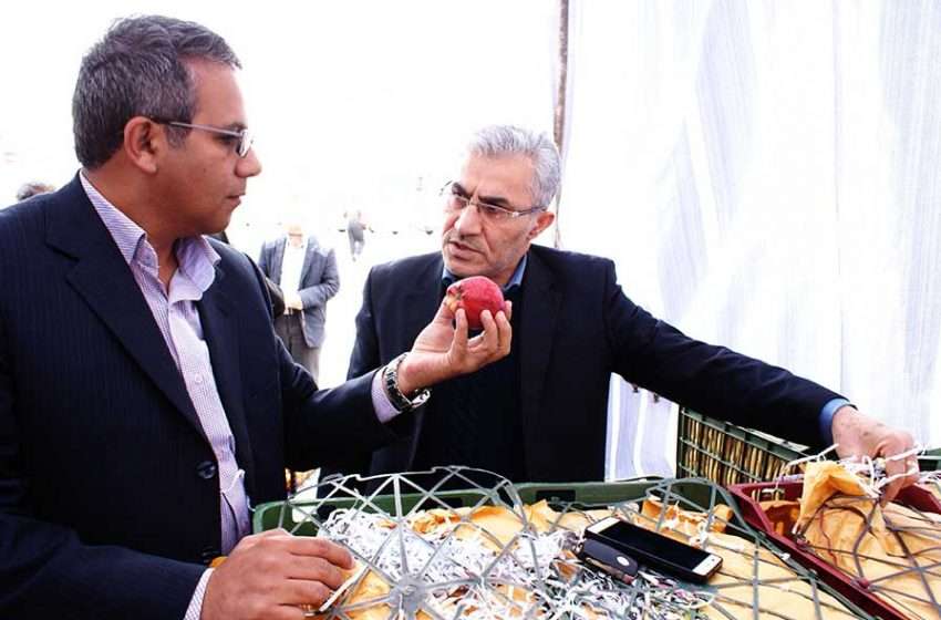  محل توزیع میوه شب عید جهت تنظیم بازار اعلام شد