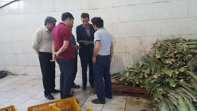  ‎بخشدار کندوان میانه در بازدید از واحدهای فعال و نیمه فعال ناحیه صنعتی ترک: حل مشکل اشتغال نیازمند کاری جهادی است