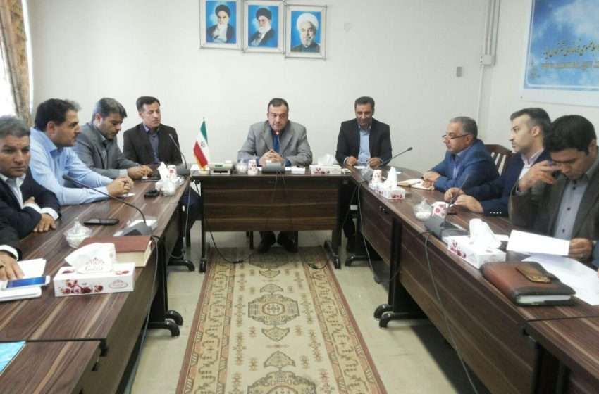  معاون سیاسی و اجتماعی فرماندار میانه: تشکیلات مردم نهاد در جمع آوری سگهای بلاصاحب سبب جلب مشارکت مردم خواهد بود