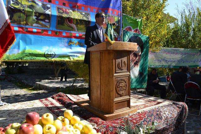  مدیر کل امور روستایی و شوراهای استان خواستار ثبت جشن شکرانه برداشت سیب در تقویم بخش کندوان شد