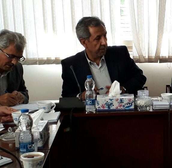  رییس سازمان جهاد کشاورزی استان:  صدور تغییر کاربری برای زمینهای کشاورزی تا درجه ۳ میسر نیست