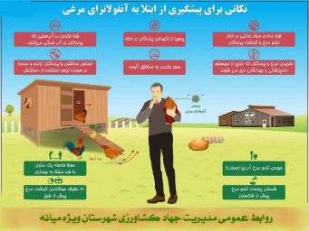  نکاتی برای پیشگیری از ابتلا به بیماری آنفولانزای مرغی
