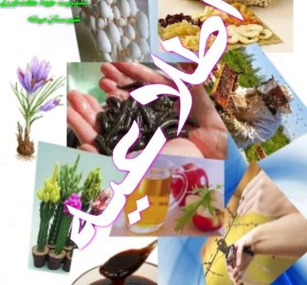  برگزاری دوره های آموزشی مشارکتی در زمینه های مختلف کشاورزی