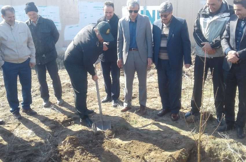  مراسم بزرگداشت هفته منابع طبیعی در بخش کندوان برگزار شد