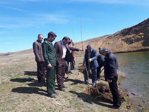  برگزاری مراسم درختکاری در بخش کاغذکنان