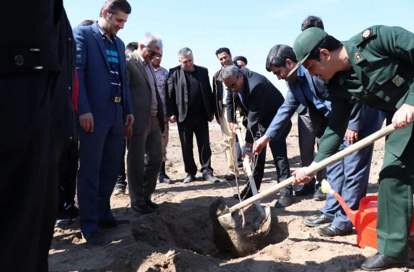  بمناسبت هفته منابع طبیعی، در شهرک جدیدالاحداث منظریه، نهال غرس شد