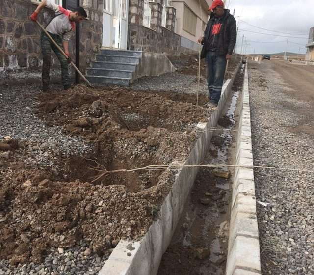  کاشت ۱۰۰۰ اصله نهال درخت در شهر آچاچی به همت شورای اسلامی و شهرداری شهر آچاچی