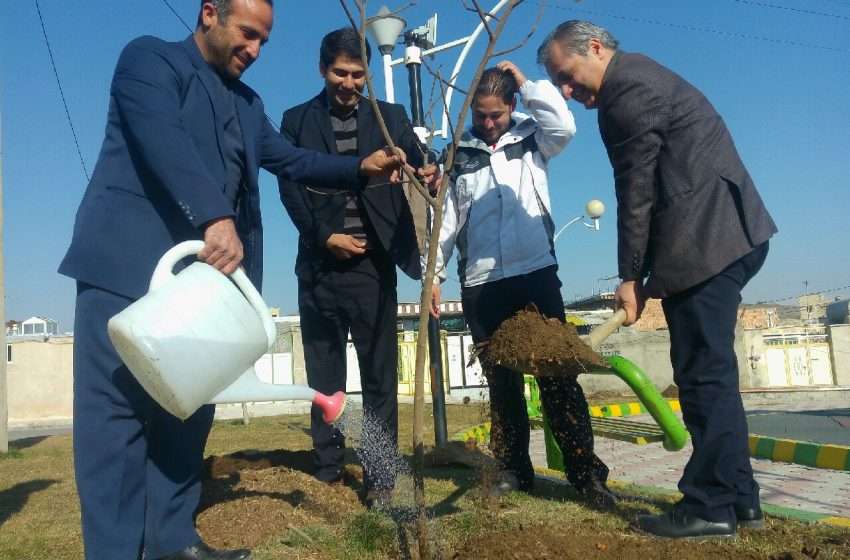  کاشت درخت در راستای گرامیداشت ۱۵ اسفند روز درختکاری با هدف توسعه فرهنگ درختکاری در شهر آچاچی