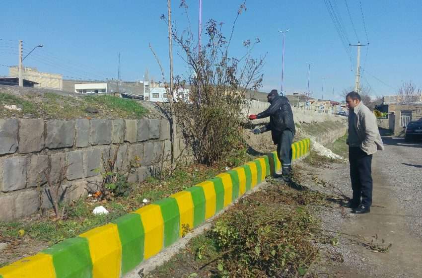  سلسله اقدامات استقبال از نوروز ۹۸ شهرداری آچاچی: هرس, توسعه و کاشت فضای شهر