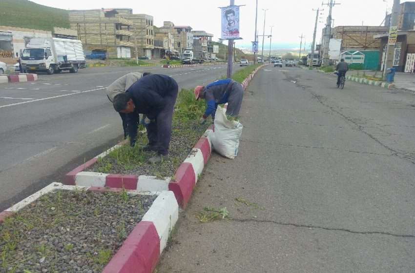  شروع مرحله اول از بین بردن علف های هرز توسط شهرداری آچاچی