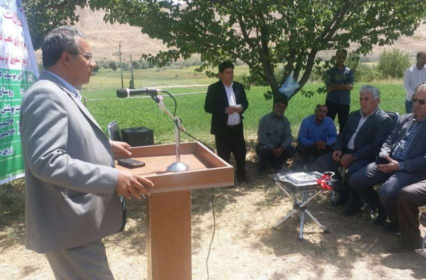  معاون هماهنگی امور عمرانی فرماندار ویژه میانه از ارائه تسهیلات ویژه به کشاورزان و باغداران برای تجهیز مزارع و باغات خود به شیوه های نوین آبیاری خبرداد