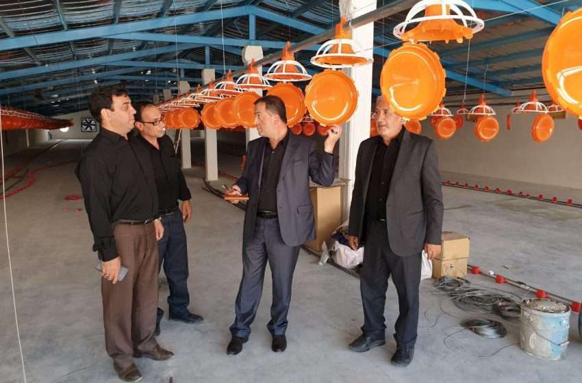  فرماندار ویژه میانه از یک واحد مرغداری جدیدالاحداث بازدید کرد