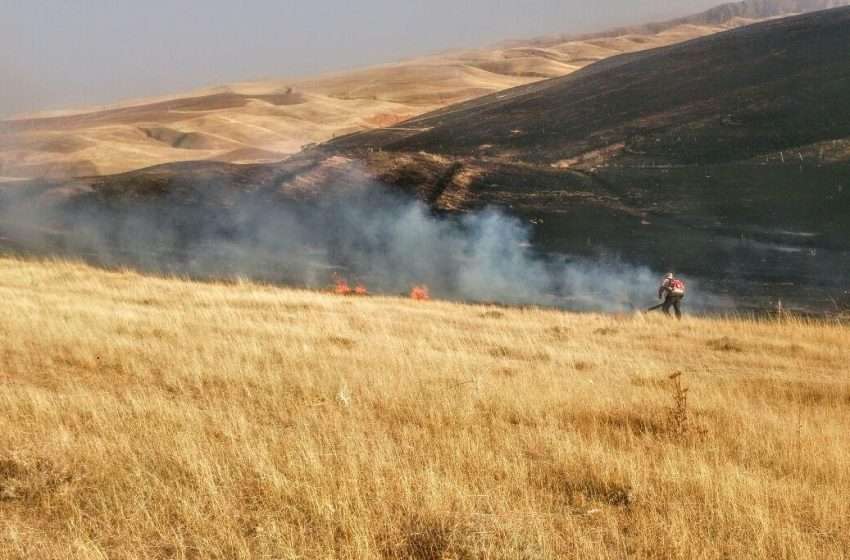  بالغ بر ۱۰ هکتار از اراضی مرتعی روستای چپقلو دچار حریق شد