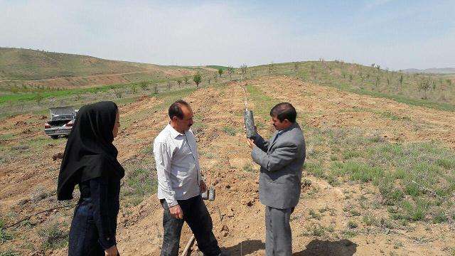  مدیر جهاد کشاورزی میانه  از تامین و توزیع ۱۴ هزار و ششصد اصله نهال گل محمدی و پسته در راستای صرفه جویی از منابع آب وتوسعه کشت گیاهان دارویی در شهرستان میانه خبر داد