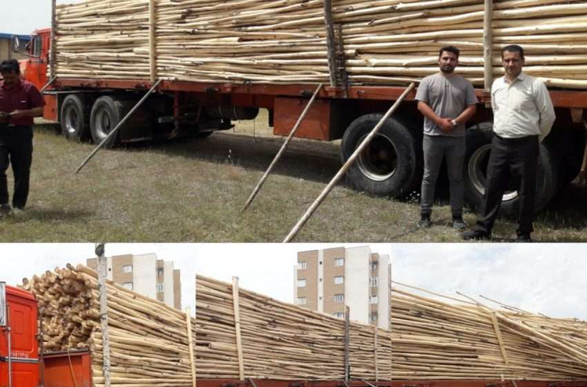  توقیف و مصادره ۱۴ تن چوب قاچاق توسط عوامل محترم نیروی انتظامی و یگان حفاظت منابع طبیعی