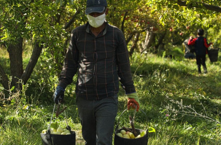  افزایش شناسایی و دستگیری کارگران اتباع بیگانه در شهرستان و برخورد با صاحبان کارگاههای متخلف
