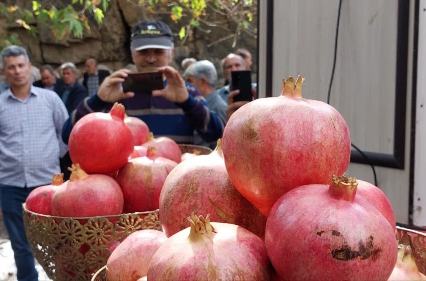  دومین جشنواره انار روستای گوو بخش کاغذکنان برگزار شد