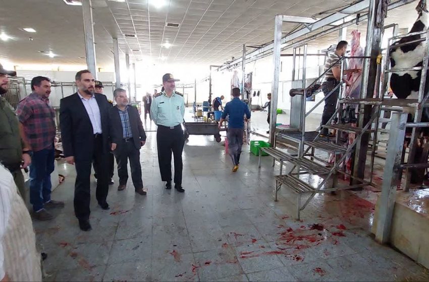  نقایص فنی، مشکلات بهداشتی و نبود تاییدیه ها، علت تعطیلی کشتارگاه شهرداری میانه