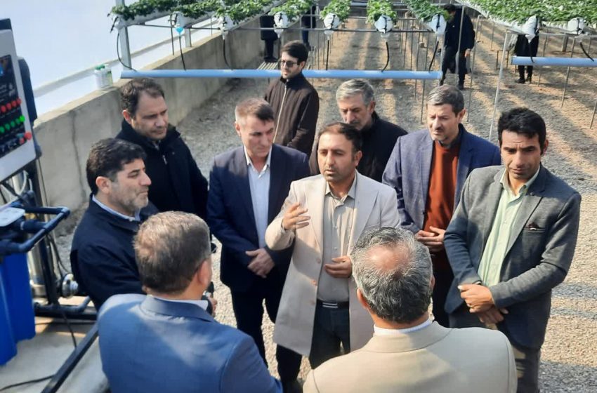  افتتاح گلخانه کشت توت فرنگی در روستای مونق با حضور معاون عمرانی استاندار