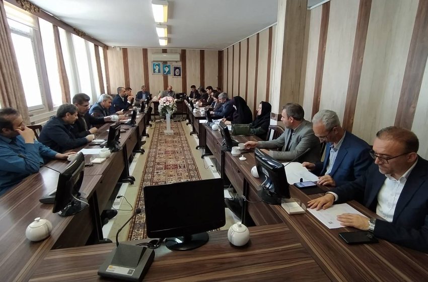  فرماندار میانه: تعلل در اجرای دستورالعمل های حمایت از خانواده و جوانی جمعیت از هیچ اداره ای قابل قبول نخواهد بود