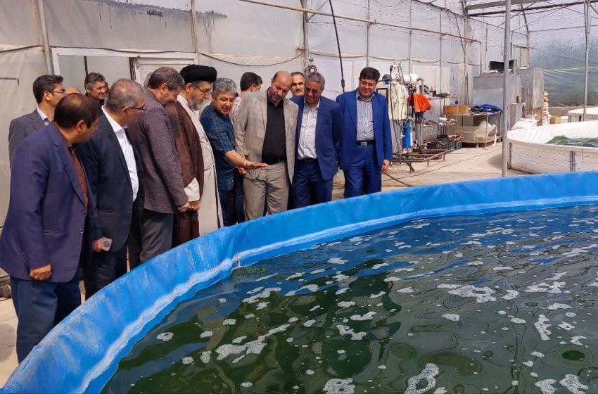  افتتاح دو طرح در حوزه جهاد کشاورزی در شهرستان میانه