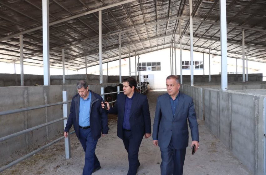  شعار امسال را در عمل محقق خواهیم کرد